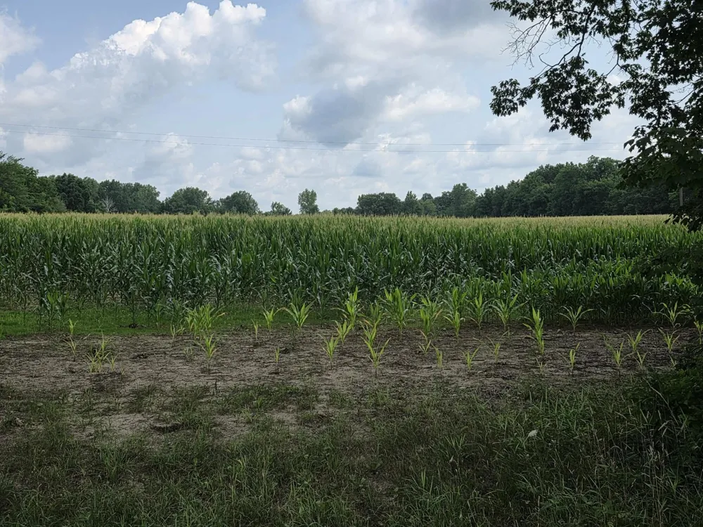 Q Drive South (parcel 1) Burlington, MI 49029