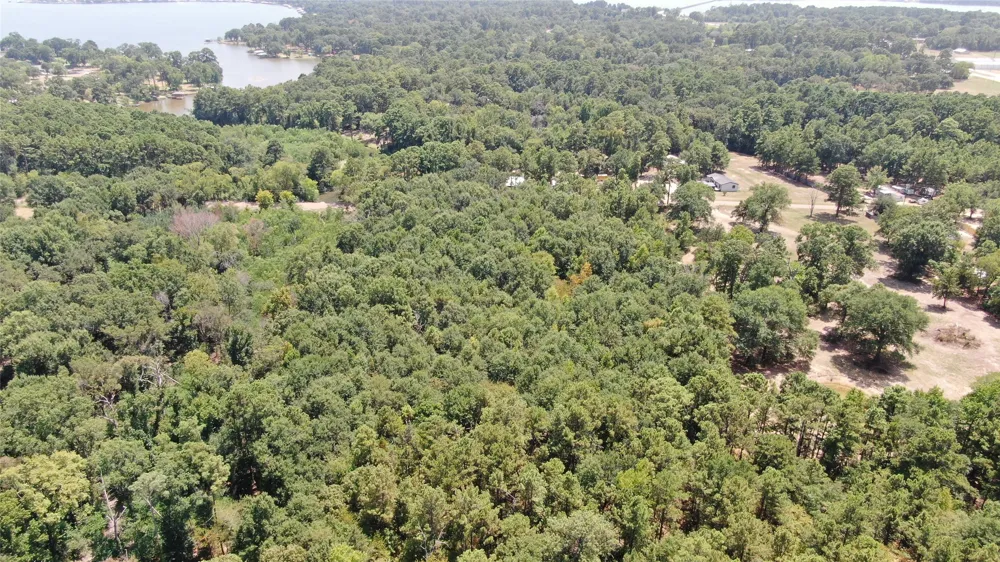 Big Eddy Road Chandler, TX 75758