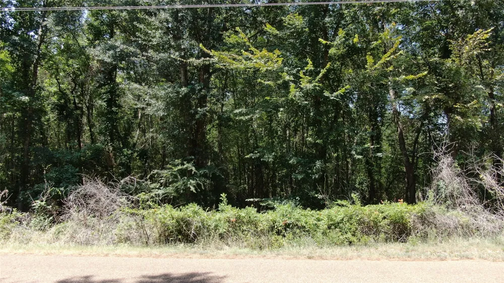 Big Eddy Road Chandler, TX 75758