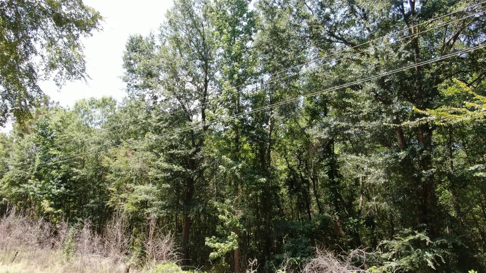 Big Eddy Road Chandler, TX 75758