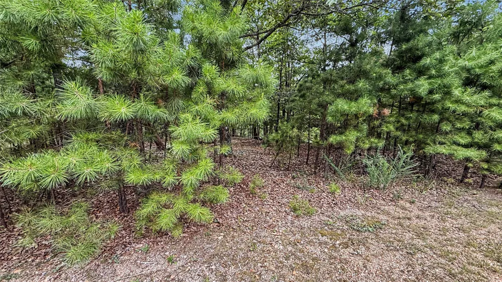 1595 Deer Lake Drive Kansas, OK 74347
