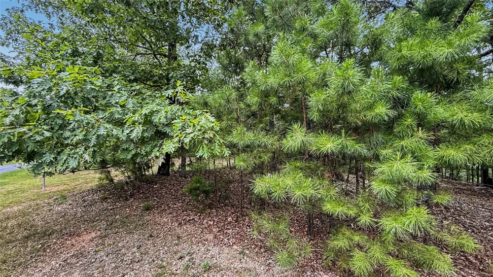 1595 Deer Lake Drive Kansas, OK 74347