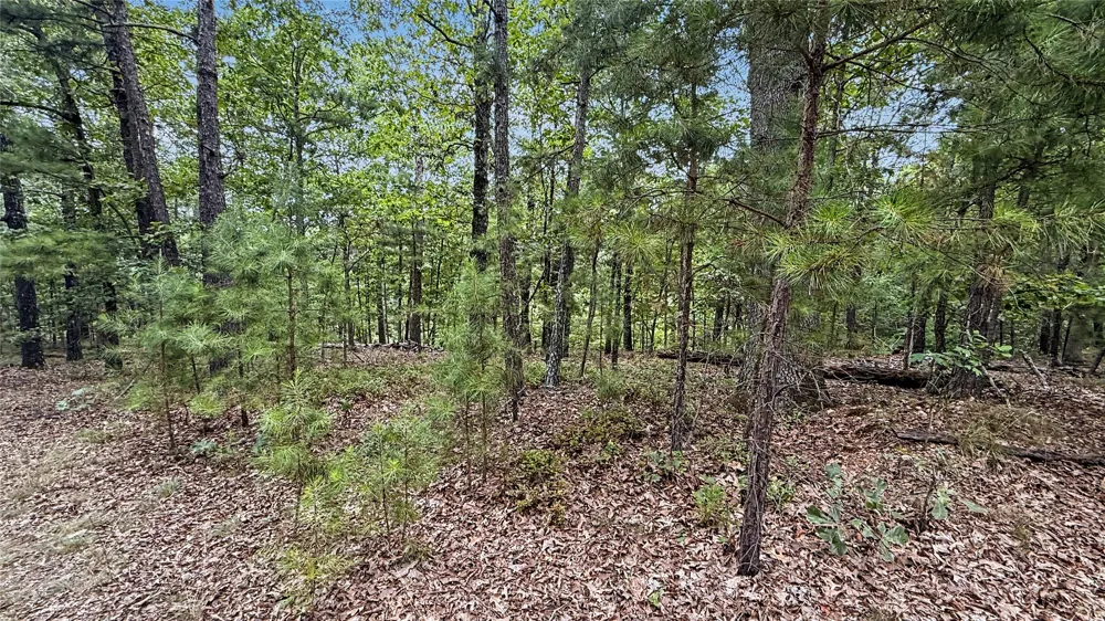 1595 Deer Lake Drive Kansas, OK 74347