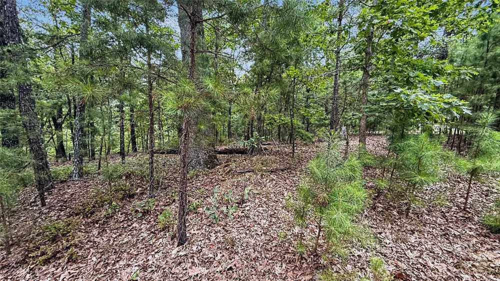 1595 Deer Lake Drive Kansas, OK 74347