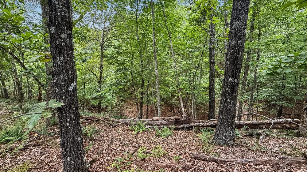 1595 Deer Lake Drive Kansas, OK 74347