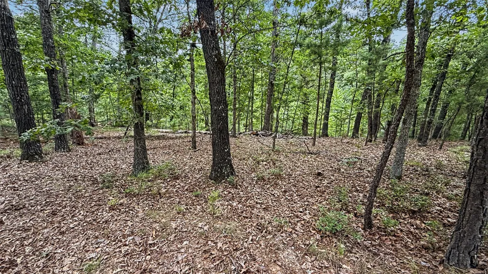 1595 Deer Lake Drive Kansas, OK 74347