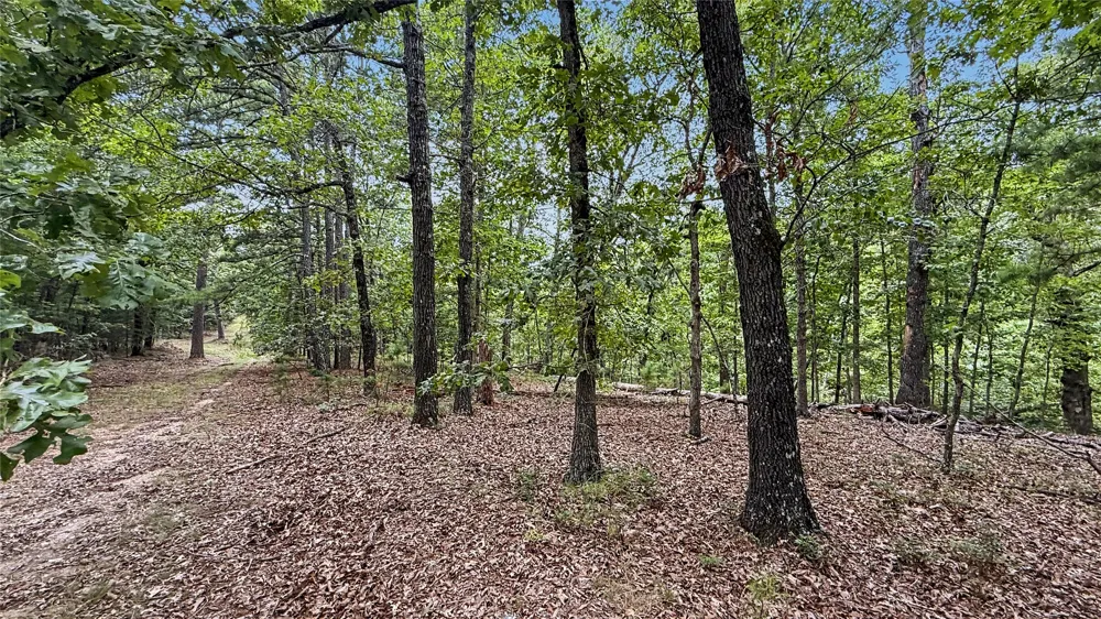 1595 Deer Lake Drive Kansas, OK 74347