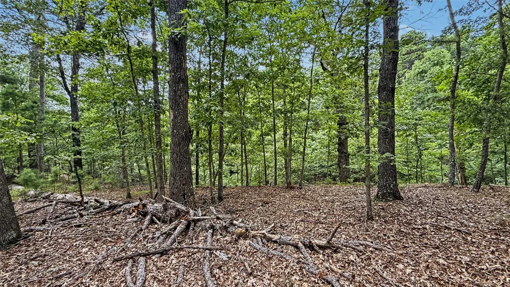 1595 Deer Lake Drive Kansas, OK 74347