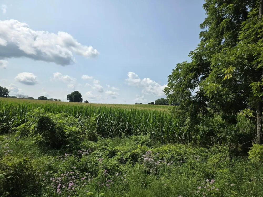 13 Mile Rd (parcel 3) Burlington, MI 49029