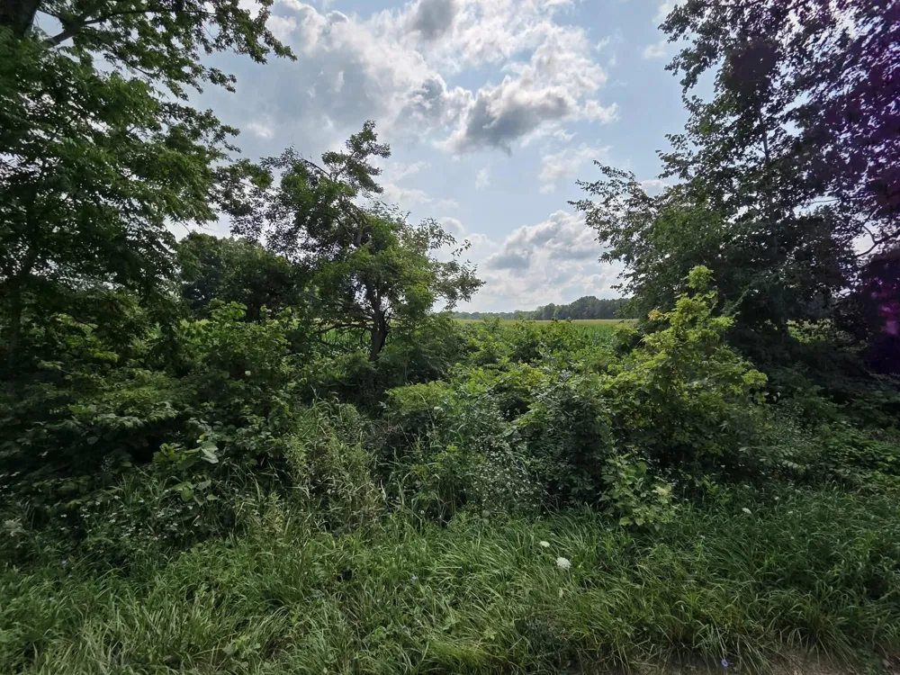 13 Mile Rd (parcel 3) Burlington, MI 49029