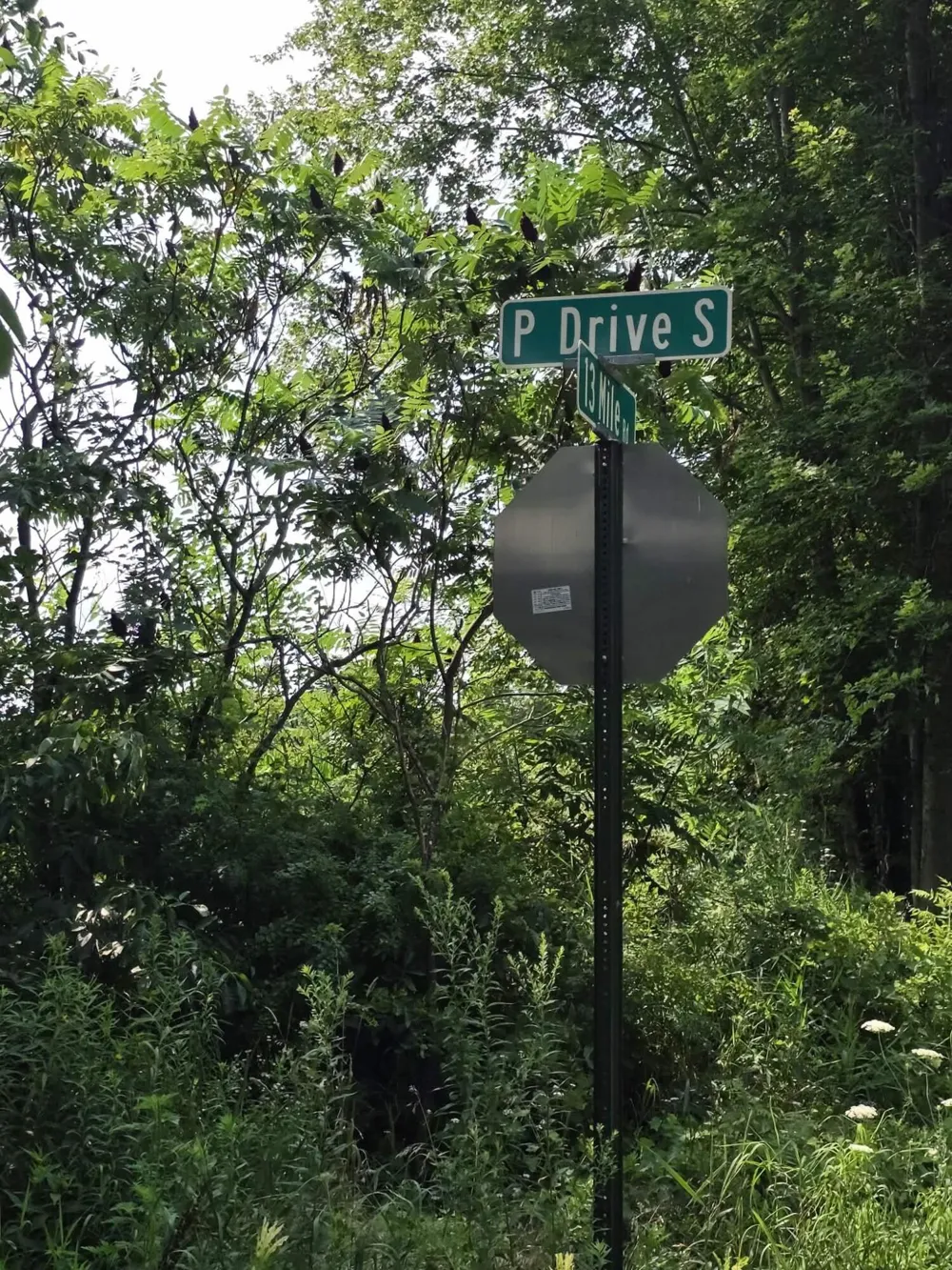 13 Mile Rd (parcel 3) Burlington, MI 49029