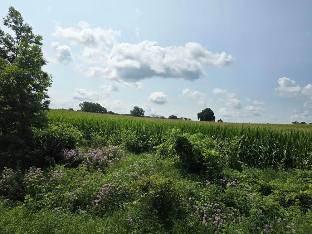 13 Mile Rd (parcel 3) Burlington, MI 49029