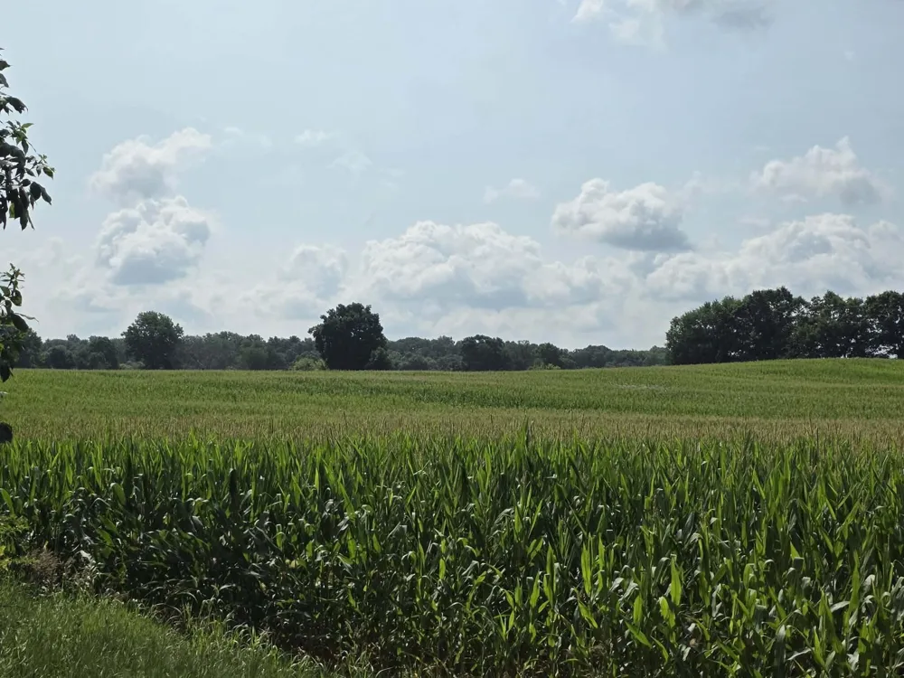 13 Mile Rd (parcel 3) Burlington, MI 49029