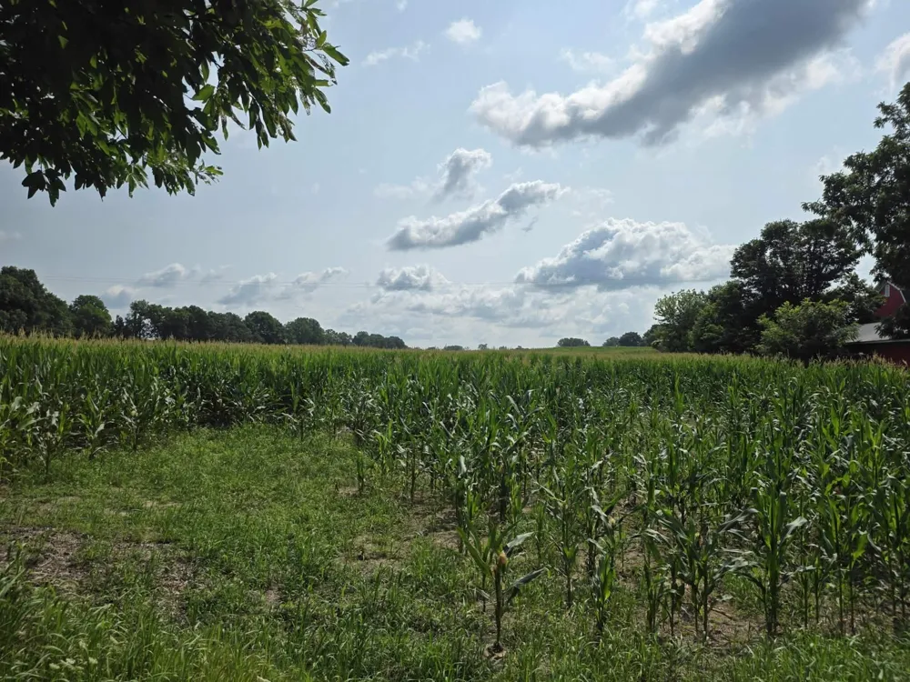 13 Mile Rd (parcel 3) Burlington, MI 49029