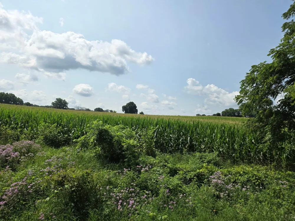 13 Mile Rd (parcel 3) Burlington, MI 49029