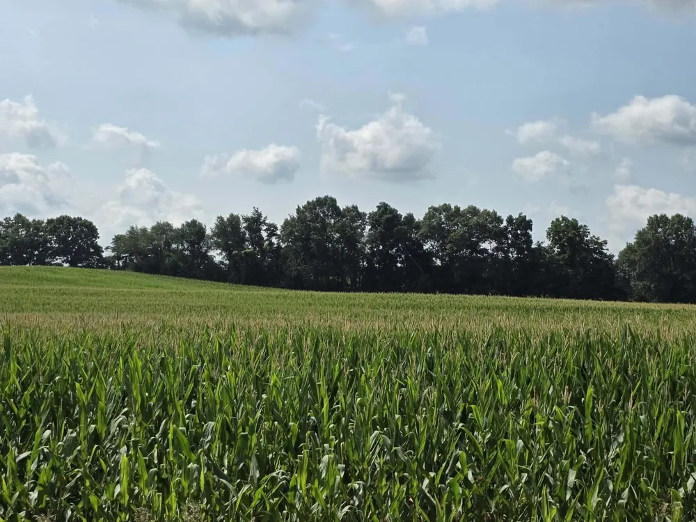 13 Mile Rd (parcel 3) Burlington, MI 49029