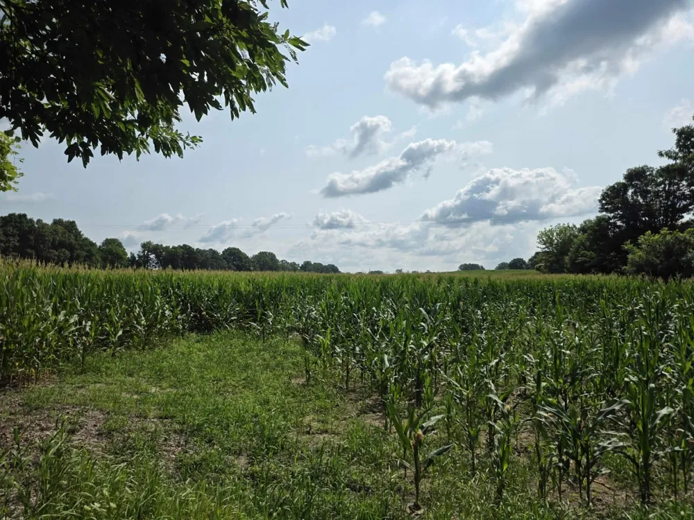 13 Mile Rd (parcel 3) Burlington, MI 49029