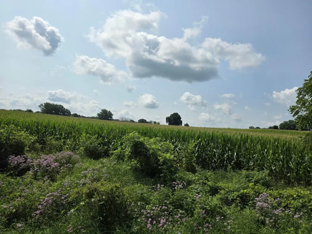 13 Mile Rd (parcel 3) Burlington, MI 49029