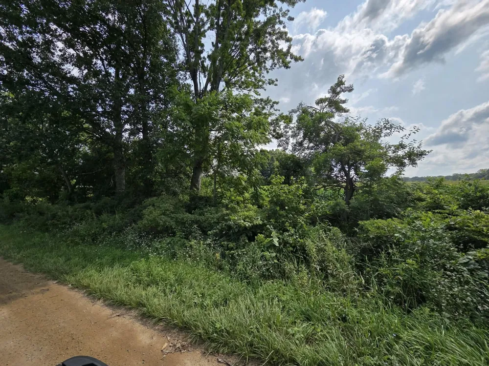13 Mile Rd (parcel 3) Burlington, MI 49029