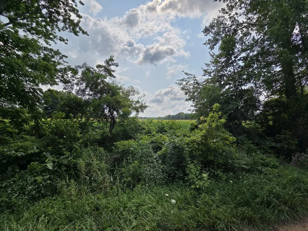13 Mile Rd (parcel 3) Burlington, MI 49029