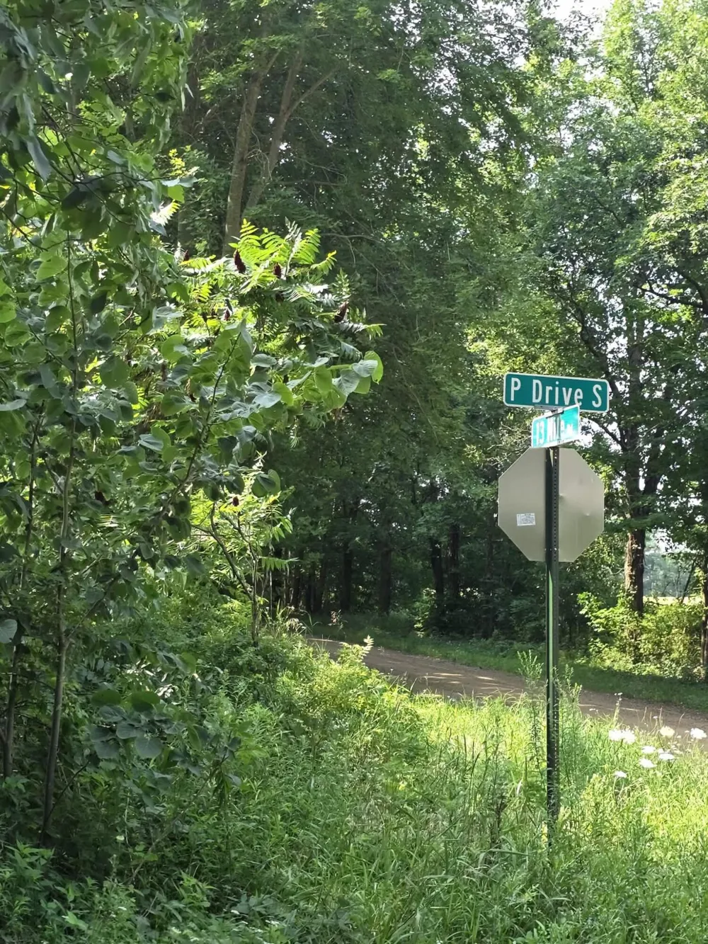 13 Mile Rd (parcel 3) Burlington, MI 49029