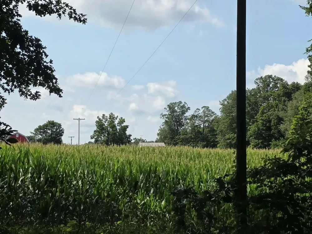 13 Mile Rd (parcel 3) Burlington, MI 49029