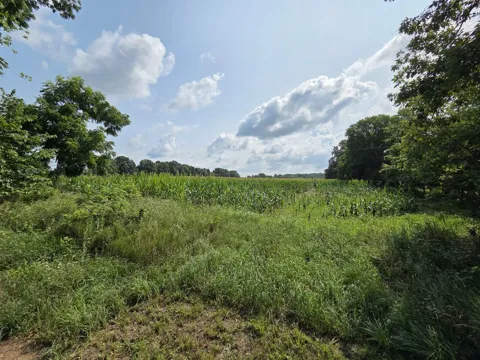 13 Mile Rd (parcel 5)