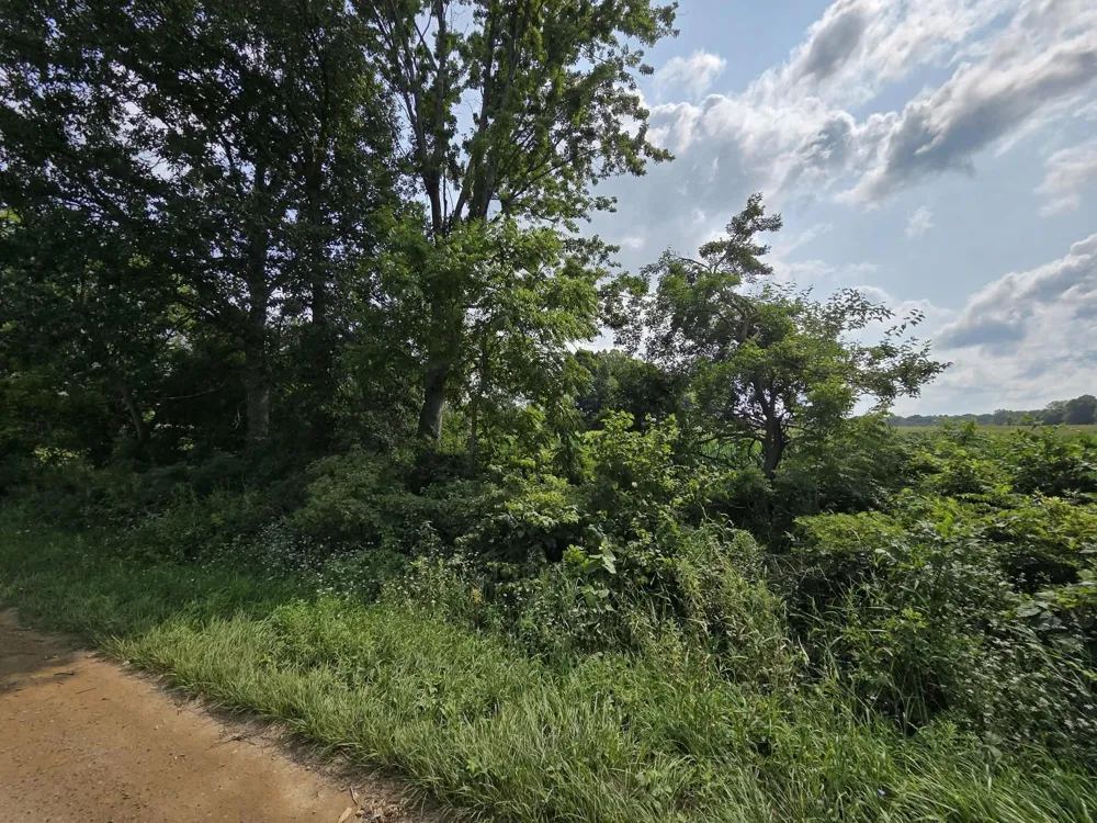13 Mile Rd (parcel 5) Burlington, MI 49029