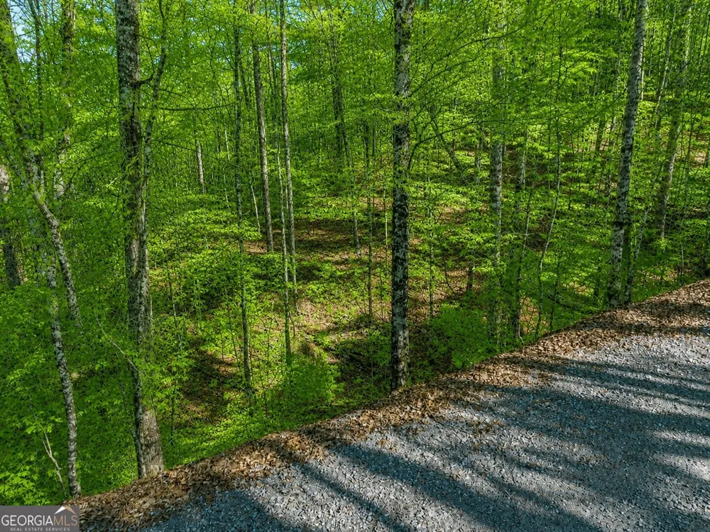 LT941 Myna DR Ellijay, GA 30540