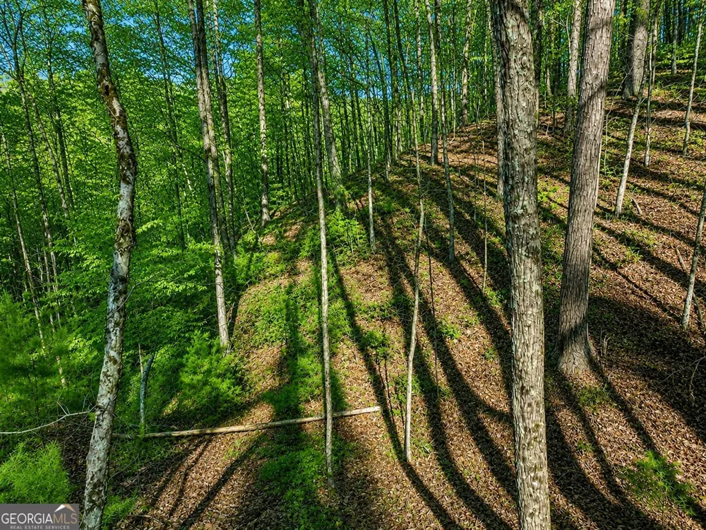 LT941 Myna DR Ellijay, GA 30540