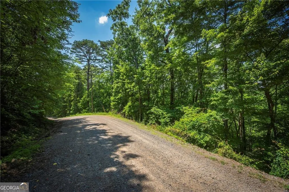 LT941 Myna DR Ellijay, GA 30540