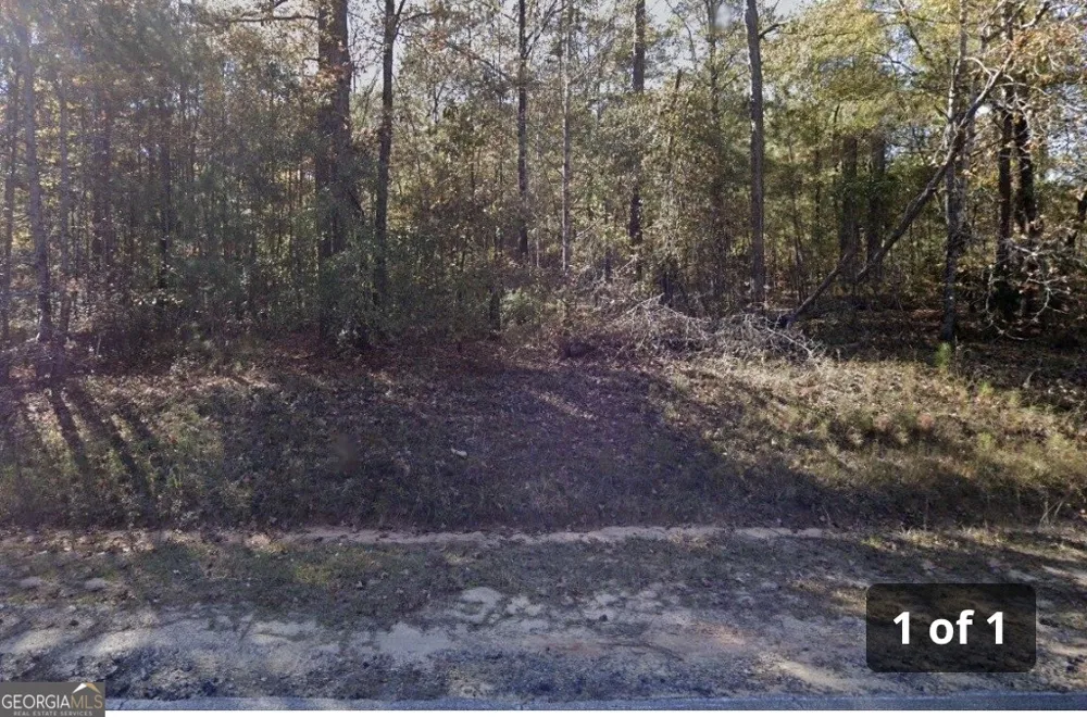 3063 Hamlin RD Lizella, GA 31052