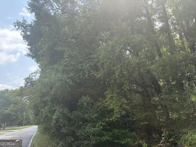 3063 Hamlin RD Lizella, GA 31052