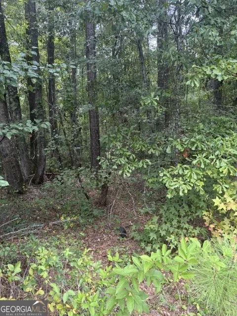3063 Hamlin RD Lizella, GA 31052