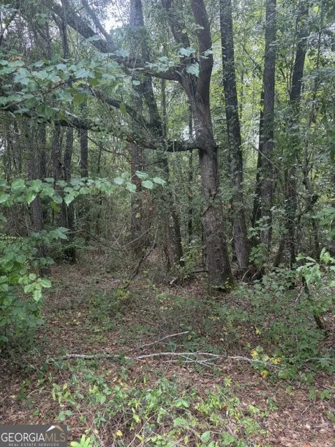3063 Hamlin RD Lizella, GA 31052