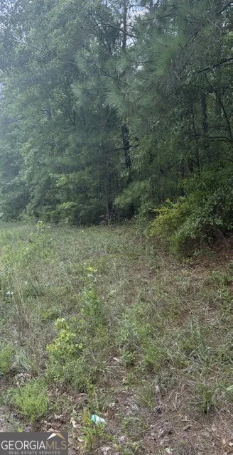 3063 Hamlin RD Lizella, GA 31052