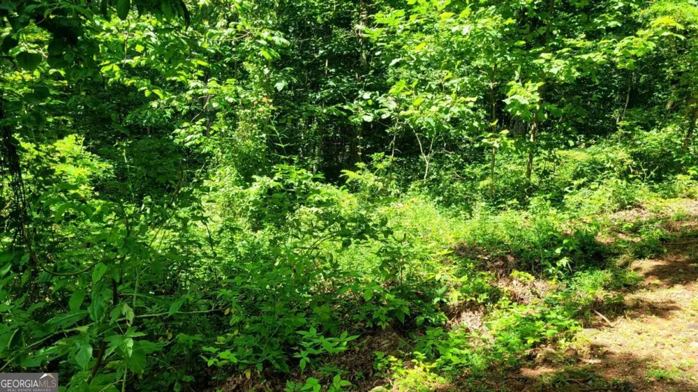 0 High Cliff RD Jasper, GA 30143