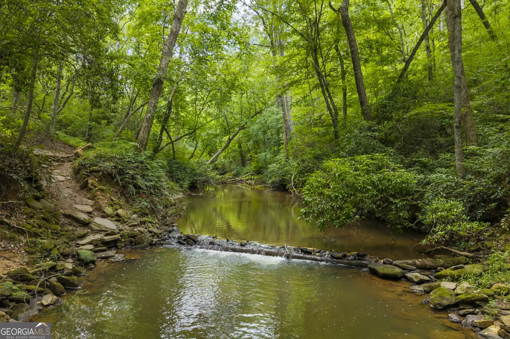 2374 Dean Mountain RD Cleveland, GA 30528