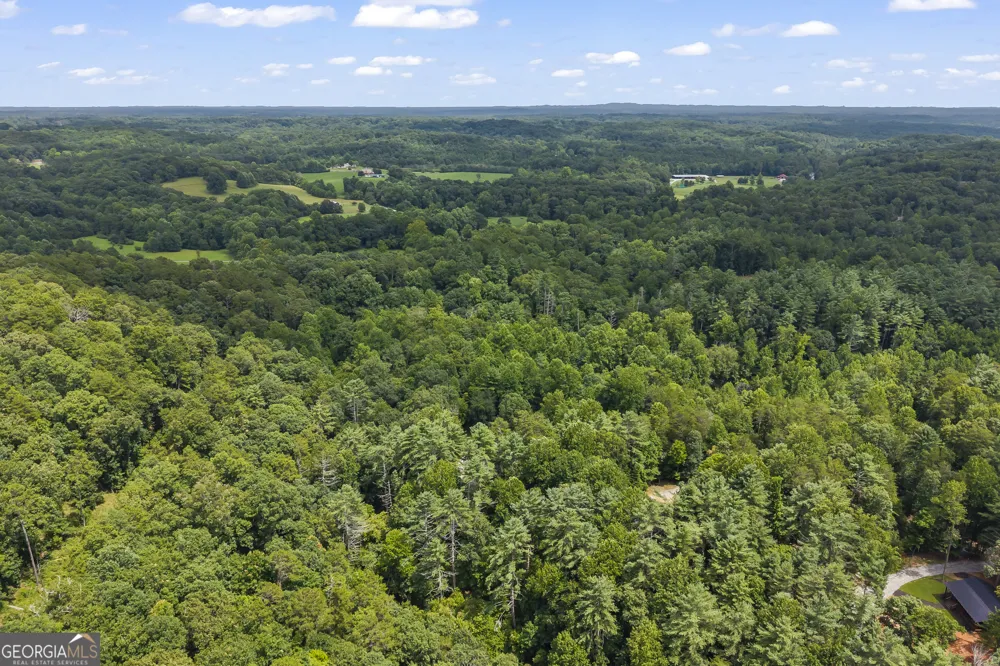 2374 Dean Mountain RD Cleveland, GA 30528