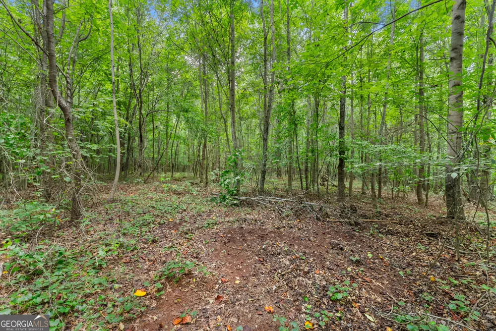 0 Freedom LN Commerce, GA 30530