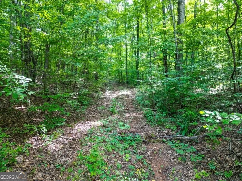 0 Highway 431 Roanoke, AL 36274