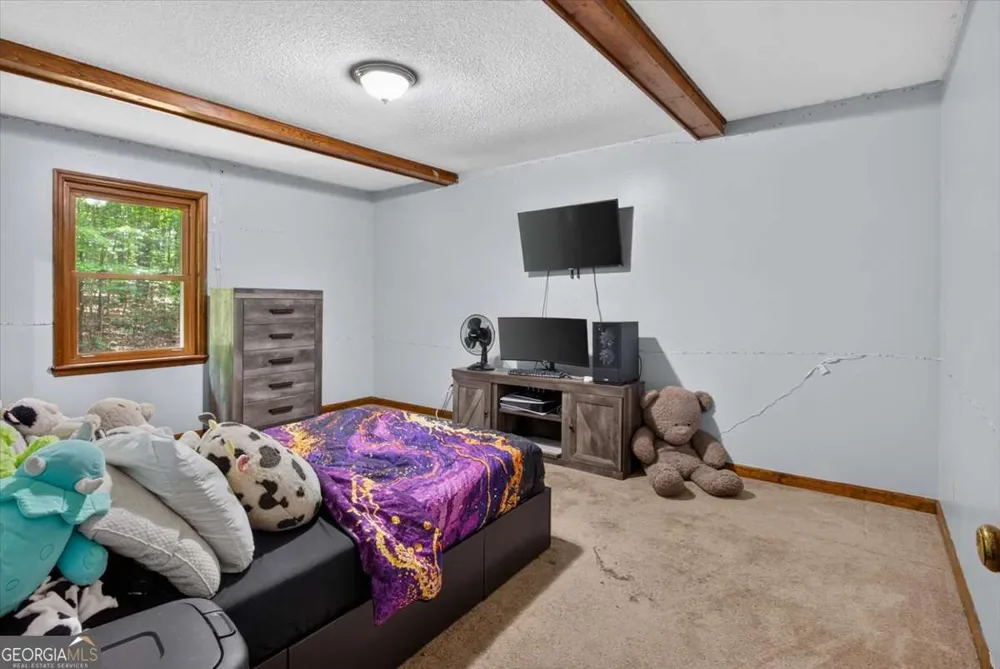 271 Broken Arrow TRL Dahlonega, GA 30533
