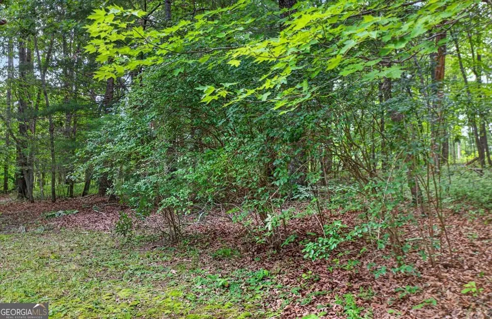 271 Broken Arrow TRL Dahlonega, GA 30533