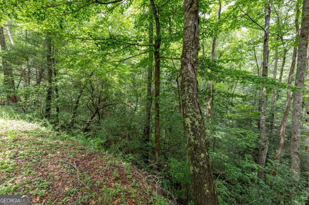 5.74 AC Hardslate RD Ellijay, GA 30540