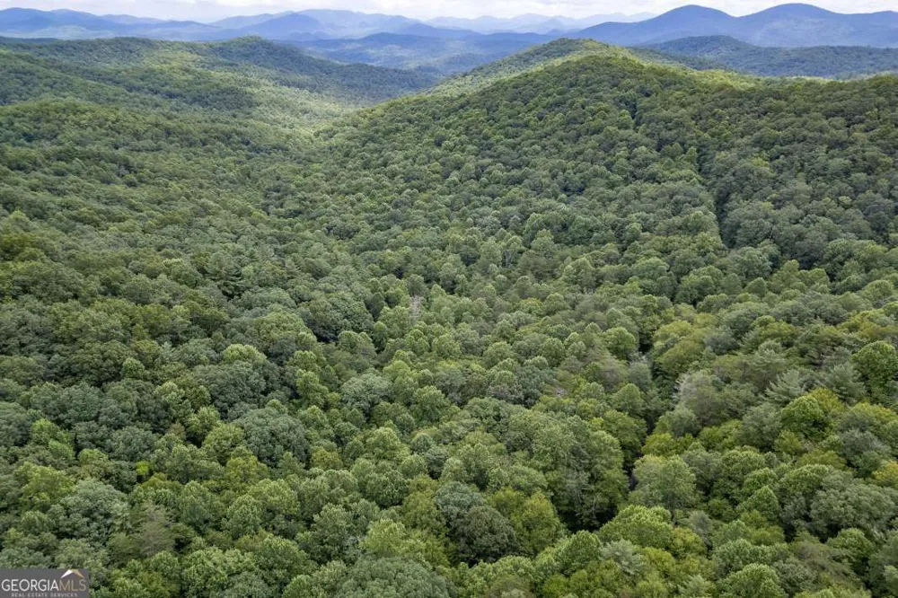 5.74 AC Hardslate RD Ellijay, GA 30540