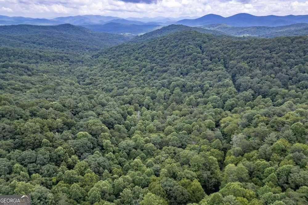 5.74 AC Hardslate RD Ellijay, GA 30540