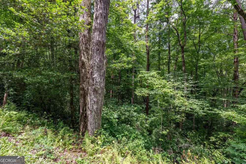 5.74 AC Hardslate RD Ellijay, GA 30540
