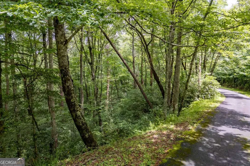 5.74 AC Hardslate RD Ellijay, GA 30540