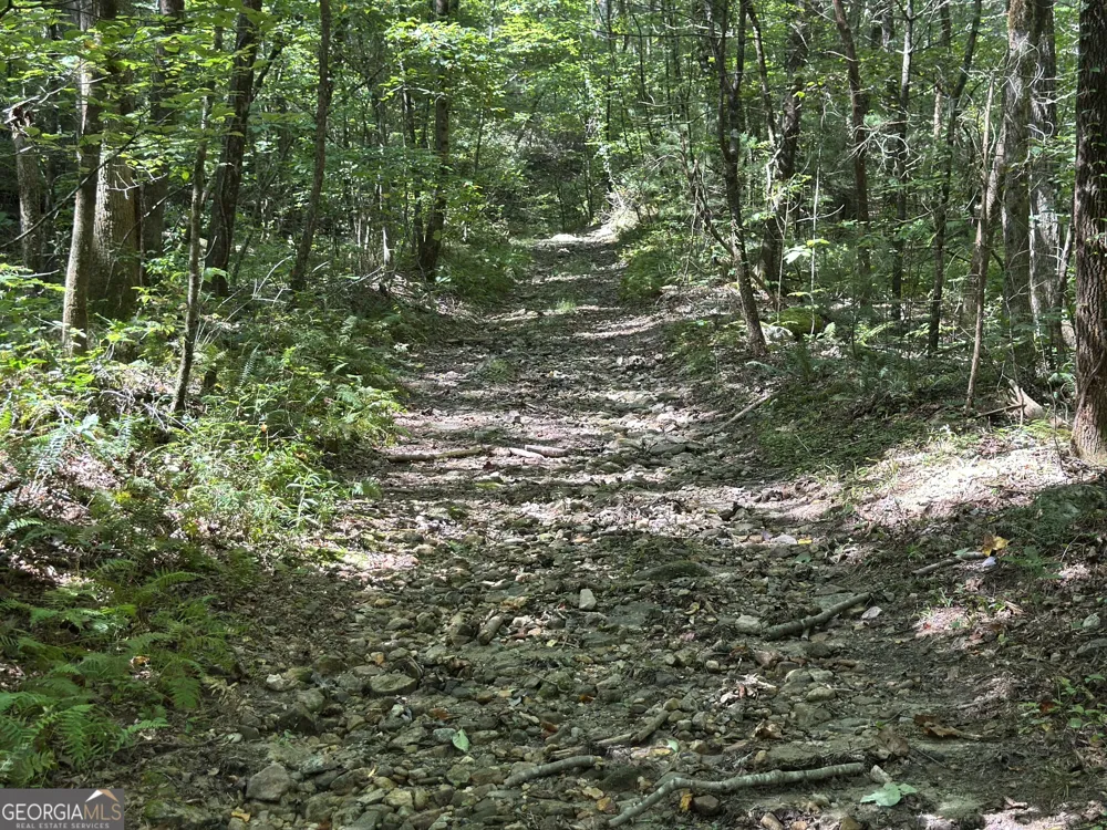 5.74 AC Hardslate RD Ellijay, GA 30540