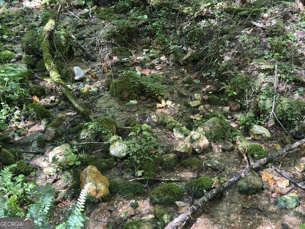 5.74 AC Hardslate RD Ellijay, GA 30540
